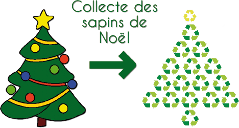 recyclage sapins