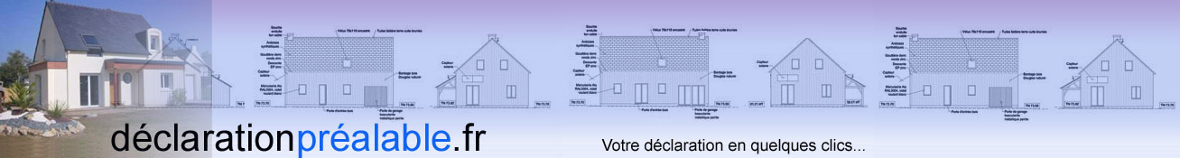 LOGO DECLARATION long